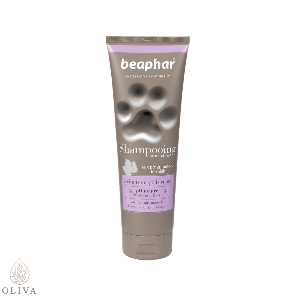 Beaphar Premium Šampon Za Kratkodlake Pse 250 Ml