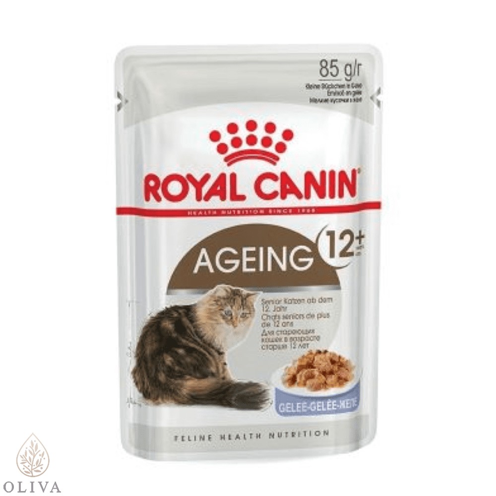 Royal Canin Ageing In Jelly 12Y+ 12X85Gr