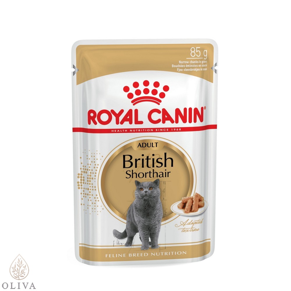 Royal Canin British Shorthair 1Y+ 12X85Gr