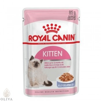 ROYAL CANIN Kitten Instinctive In Jelly 4-12m 12x85gr
