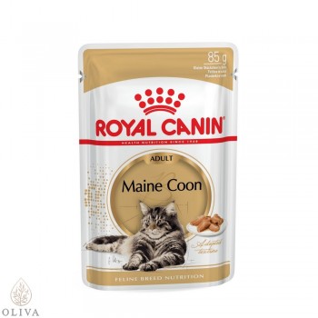 ROYAL CANIN Maine Coon 15m+ 12x85gr