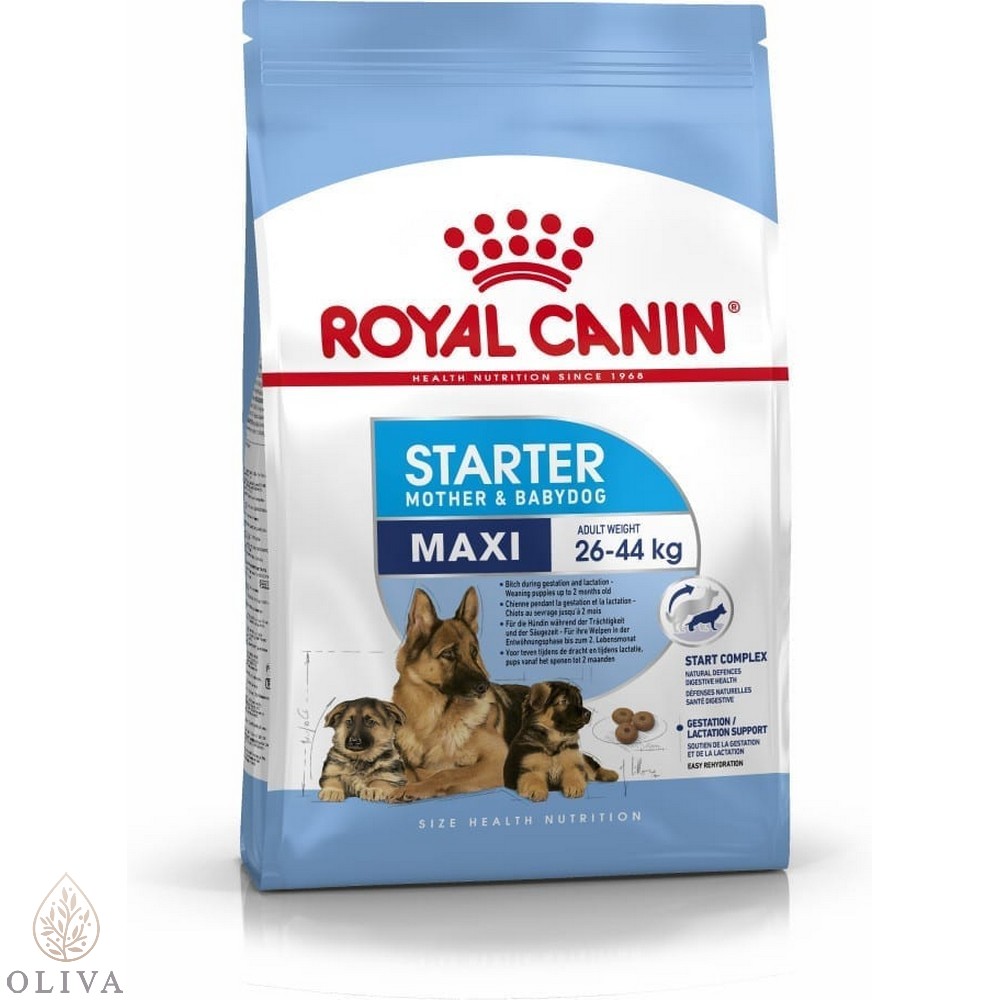 Royal Canin Maxi Starter 4Kg