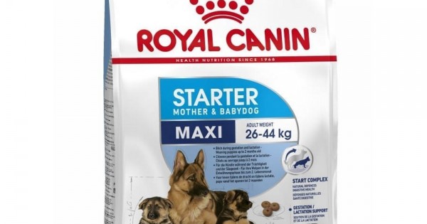 Royal Canin Size Health Nutrition Maxi Starter 4 kg