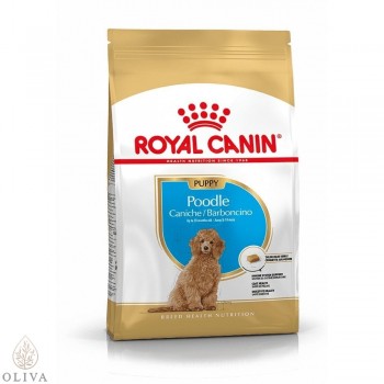 ROYAL CANIN Poodle junior 0,5kg
