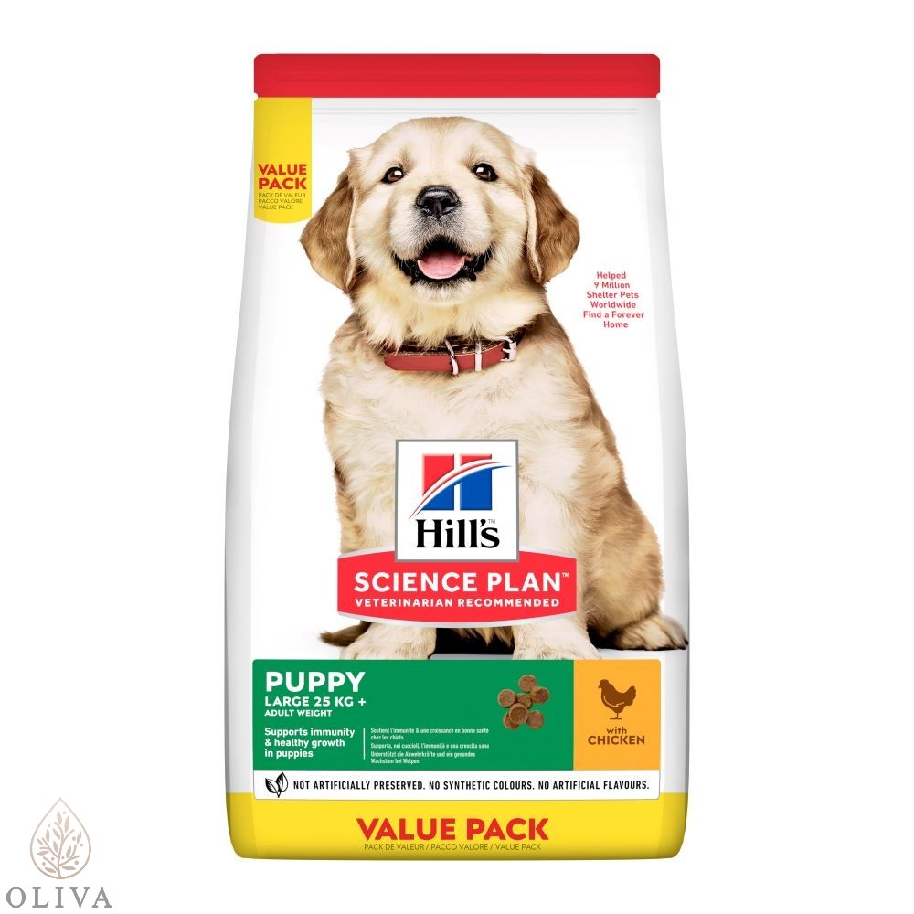 Hill’s  Puppy Large Breed Piletina 14,5Kg